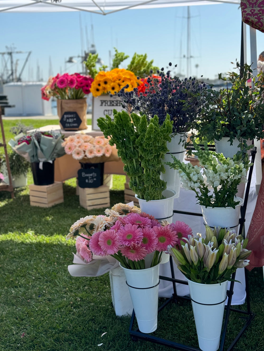 Calily Flower Bar