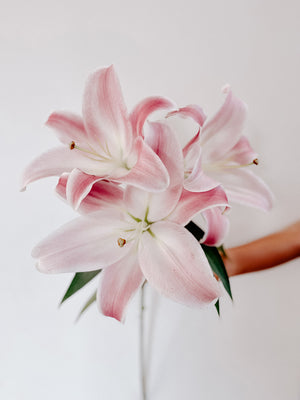 California Babe Lily Bouquet